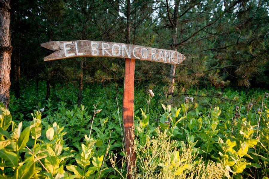 El Bronco Working Ranch Izsak Ngoại thất bức ảnh